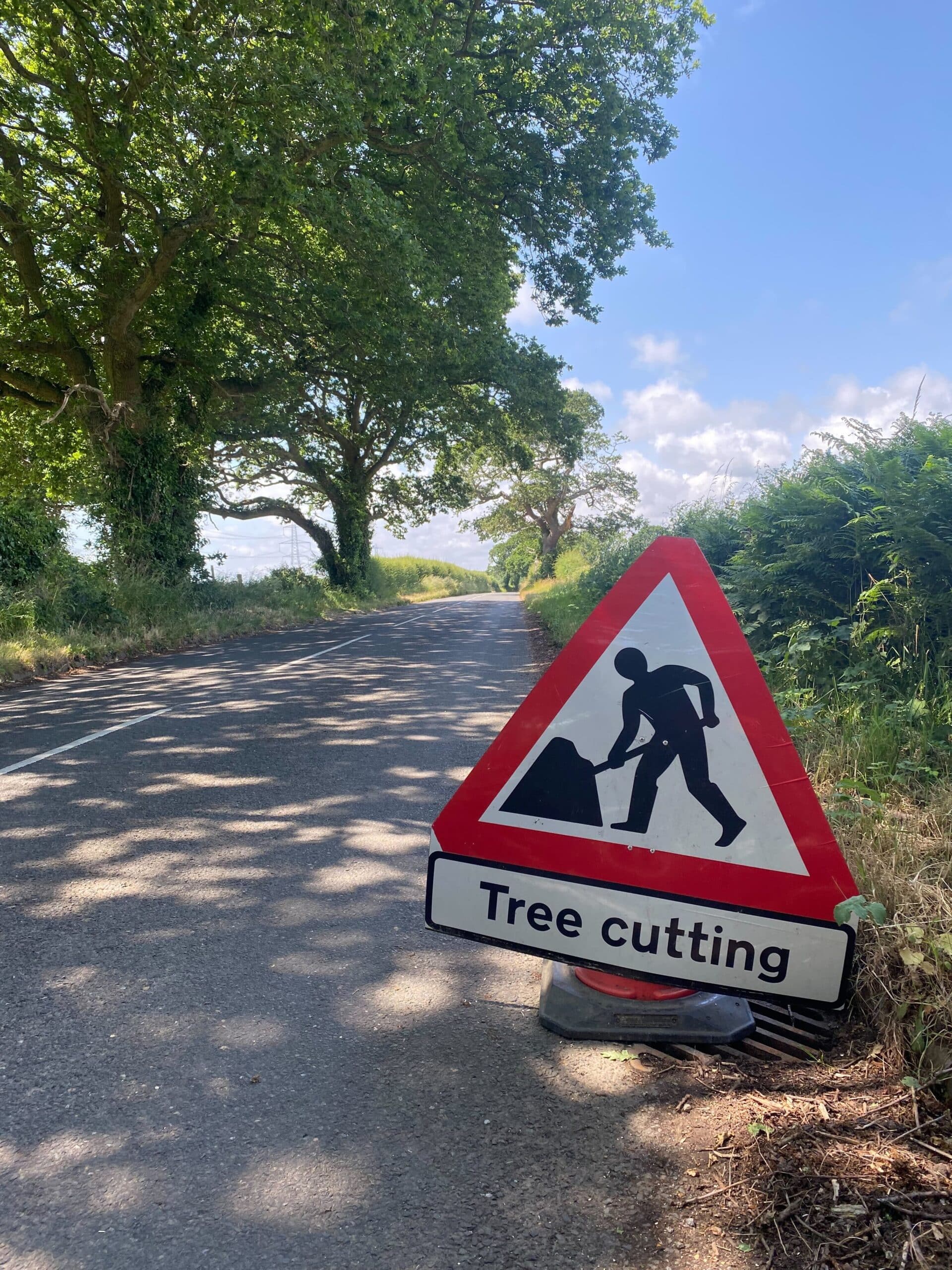 Tree surgery safety signage during emergency work in Bournemouth